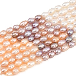 Three Color Natural Cultured Freshwater Pearl Beads Strands&nbsp;PA-CBAFEE8-04B