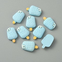 Opaque Resin Imitation Food Cabochons&nbsp;RESI-WH0036-06G