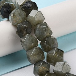 Natural Labradorite Star Cut Round Beads Strands&nbsp;G-M418-C10-01
