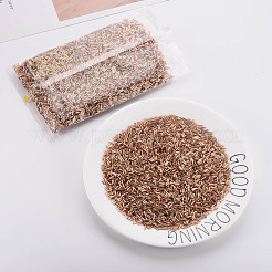 Plated Glass Bugle Beads&nbsp;SEED-S046-01B-39A