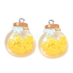 Transparent Resin Pendants&nbsp;RESI-K203-19