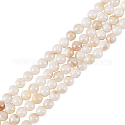 2 Strands AB Color Natural Freshwater Shell Beads Strands&nbsp;BSHE-TA0001-40