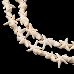 Synthetic Turquoise Dyed Beads Strands&nbsp;G-B184-C01-01