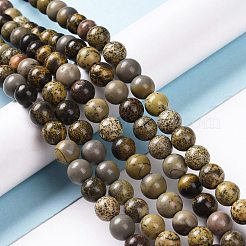 Natural Dendritic Jasper Beads Strands&nbsp;G-H1632-6MM