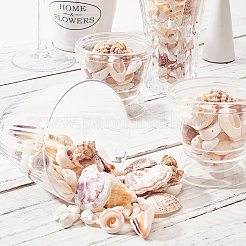 Mixed Shell Beads&nbsp;BSHE-PH0003-20