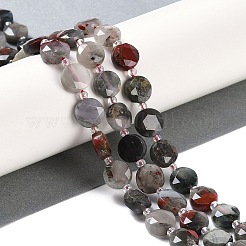 Natural African Bloodstone Beads Strands&nbsp;G-N342-12