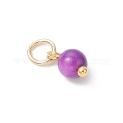 Dyed Natural Freshwater Shell Pendants&nbsp;PALLOY-JF05139-01