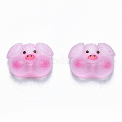 Translucent Resin Cabochons&nbsp;CRES-N030-019