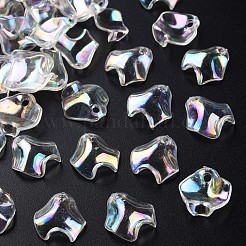 Transparent Acrylic Pendants&nbsp;MACR-S373-106-C