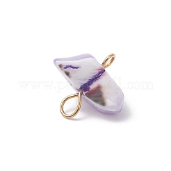 Dyed Natural Trochid Shell Connector Charms&nbsp;PALLOY-JF04585