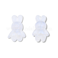 Transparent Acrylic Beads&nbsp;OACR-N008-172F