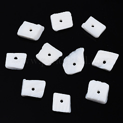 Natural White Shell Beads Strands&nbsp;SSHEL-S266-029