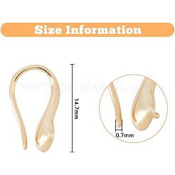 10 Pairs 2 Colors Rack Plating Brass Earring Hooks&nbsp;EJEW-FH0001-05