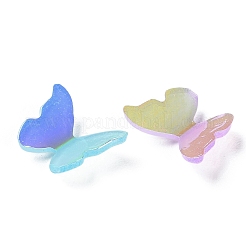 Resin Cabochons&nbsp;RESI-E045-09