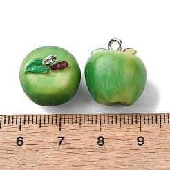 Opaque Resin Pendants&nbsp;FIND-H062-01P-02
