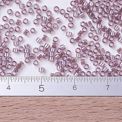 MIYUKI Delica Beads&nbsp;X-SEED-J020-DB0173