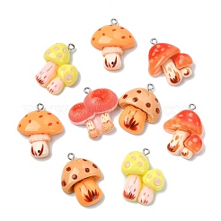 30Pcs 5 Styles Resin Pendants&nbsp;RESI-CJ0005-20