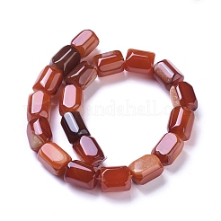 Natural Agate Beads Strands&nbsp;G-L542-B02