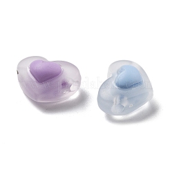 Frosted Transparent Acrylic Beads&nbsp;OACR-A032-27