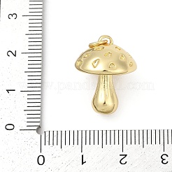Brass Pendants&nbsp;KK-U062-48G