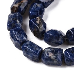 Natural Sodalite Beads Strands&nbsp;G-N342-145