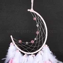 Iron Woven Web/Net with Feather Pendant Decorations&nbsp;LS-AJEW-P097-02