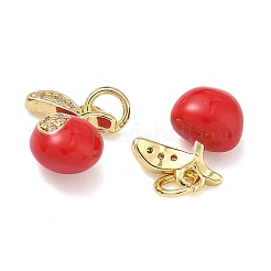 Brass Micro Pave Cubic Zirconia Charms&nbsp;KK-B170-13G