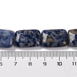 Natural Blue Spot Jasper Beads Strands&nbsp;G-T047-B10-01