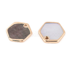 Natural Black Lip Shell Hexagon Charms&nbsp;BSHE-T014-05