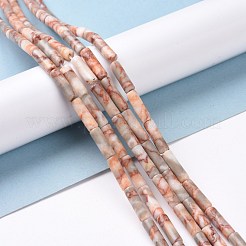 Natural Red Netstone Beads Strands&nbsp;G-F247-51