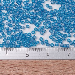 MIYUKI Delica Beads&nbsp;SEED-J020-DB0862