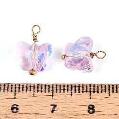 Electroplate Glass Butterfly Charms&nbsp;STAS-N110-12G