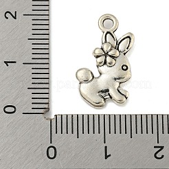 Tibetan style Alloy Pendants&nbsp;FIND-Z058-01AS-04