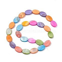 10 Strands Colorful Natural Freshwater Shell Dyed Beads Strands&nbsp;SHEL-M018-04