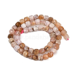Natural Cherry Blossom Agate Beads Strands&nbsp;G-H078-C43-6mm