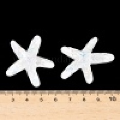 UV Plating Ocean Theme Transparent Resin Cabochons&nbsp;CRES-D306-01A