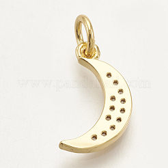 Brass Micro Pave Cubic Zirconia Charms&nbsp;ZIRC-S061-58G
