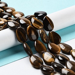 Natural Teardrop Tiger Eye Beads Strands&nbsp;G-L242-26