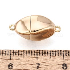 6Pcs Iron Screw Clasps&nbsp;IFIN-T021-02G