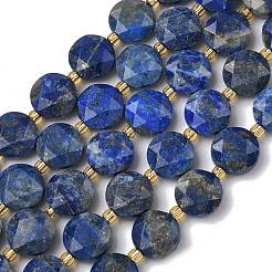 Natural Lapis Lazuli Beads Strands&nbsp;G-C116-A190-01