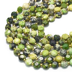 Natural Serpentine Beads Strands&nbsp;G-C116-A14-02