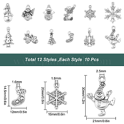 120Pcs 12 Style Tibetan Style Alloy Pendants&nbsp;TIBE-SC0001-64