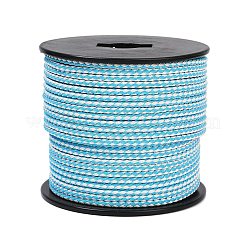 40M Nylon Coated 304 Stainless Steel Braided Wires&nbsp;TWIR-P002-01B-10