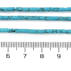 Dyed Synthetic Turquoise Beads Strands&nbsp;G-B124-A03-01