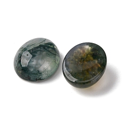 Natural Moss Agate Cabochons&nbsp;X-G-H314-01