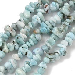 Natural Larimar Beads Strands&nbsp;G-P302-03