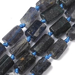 Natural Iolite Beads Strands&nbsp;G-C270-K06