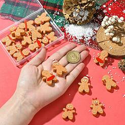 18Pcs 6 Styles Christmas Opaque Resin Cabochons&nbsp;RESI-CJ0004-73