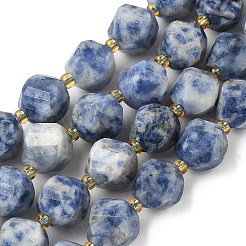 Natural Blue Spot Jasper Beads Strands&nbsp;G-U023-A05-01