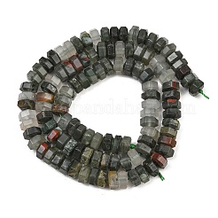 Natural African Bloodstone Beads Strands&nbsp;G-G317-A29-3X6MM